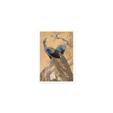 'A Pair Of Peacocks In Spring' by Imao Keinen, 1901 (short version)
