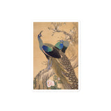 'A Pair Of Peacocks In Spring' by Imao Keinen, 1901 (short version)