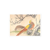 'Golden Pheasant And Peach Blossoms' by Imao Keinen, 1891