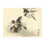 'Five Sparrows Squabbling' by Imao Keinen, 1892