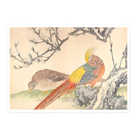 'Golden Pheasant And Peach Blossoms' by Imao Keinen, 1891