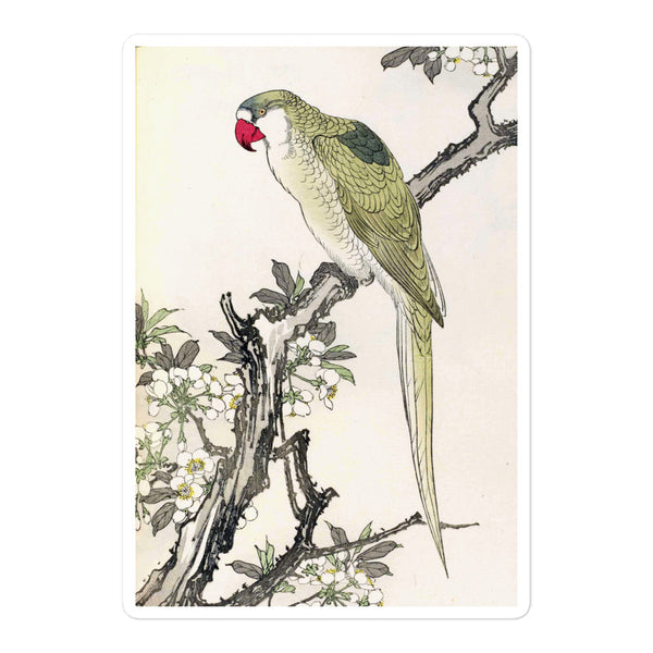 'Parrot On A Branch' by Imao Keinen, ca. 1891