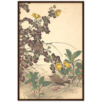 'Two Birds And Chrysanthemums' by Imao Keinen, 1891