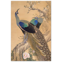 'A Pair Of Peacocks In Spring' by Imao Keinen, 1901 (short version)