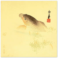 'Carp' by Imao Keinen, ca. 1900