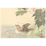 'Bathing Bird With Roses' by Imao Keinen, ca. 1900