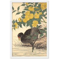 'Cormorant And Kerria Rose' by Imao Keinen, 1891