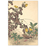 'Two Birds And Chrysanthemums' by Imao Keinen, 1891