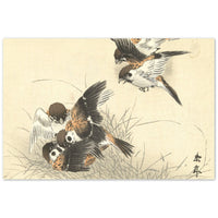 'Five Sparrows Squabbling' by Imao Keinen, 1892