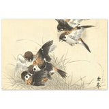 'Five Sparrows Squabbling' by Imao Keinen, 1892