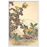 'Two Birds And Chrysanthemums' by Imao Keinen, 1891