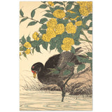 'Cormorant And Kerria Rose' by Imao Keinen, 1891