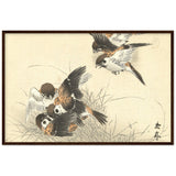 'Five Sparrows Squabbling' by Imao Keinen, 1892