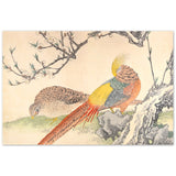 'Golden Pheasant And Peach Blossoms' by Imao Keinen, 1891